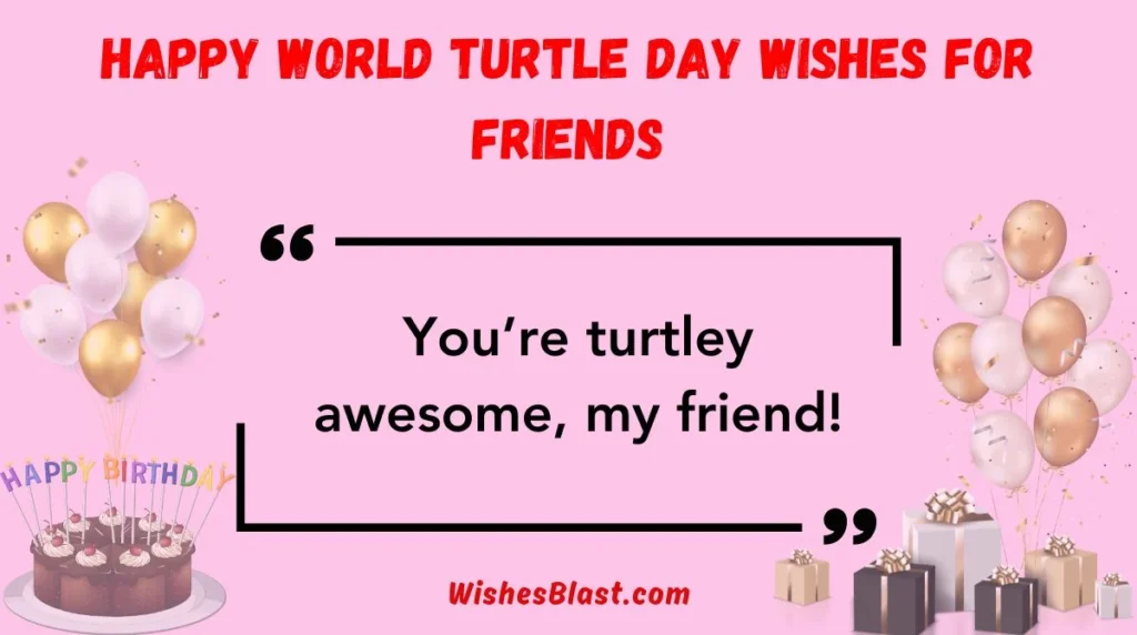 Happy World Turtle Day Wishes for Friends