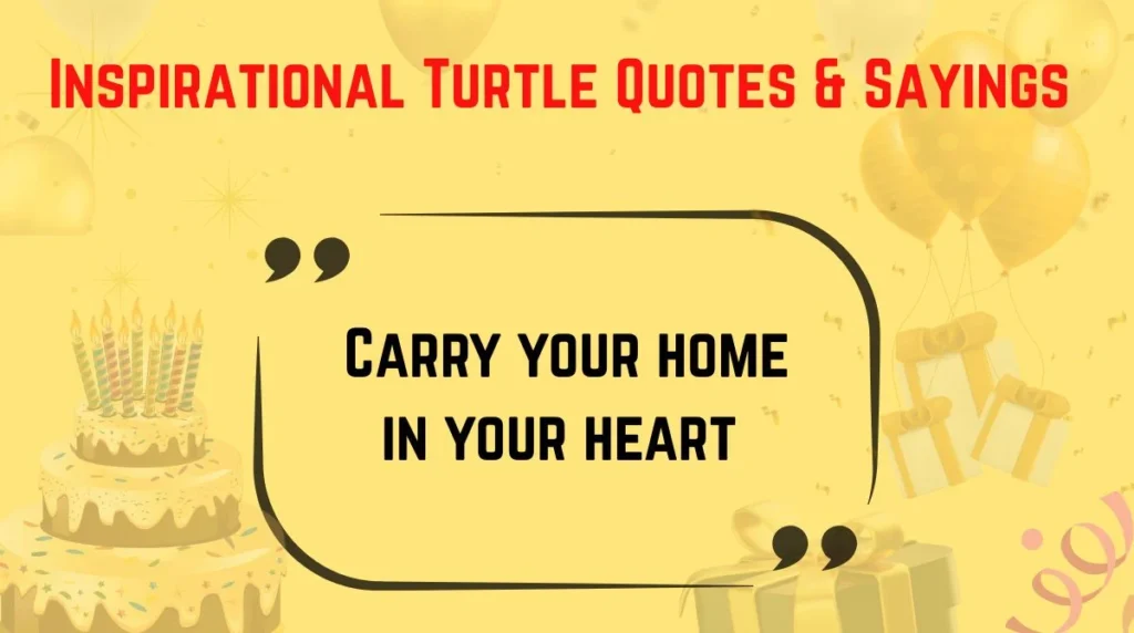 Inspirational Turtle Quotes & Sayings