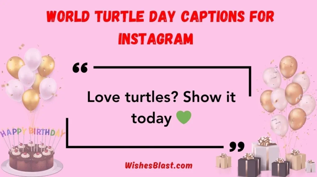 World Turtle Day Captions for Instagram