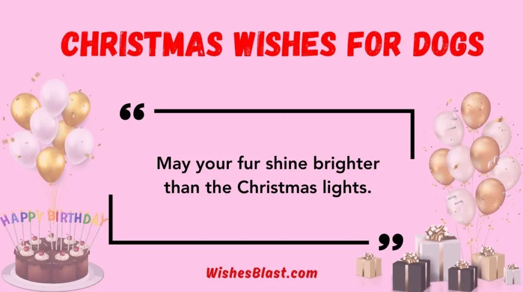 Christmas Wishes for Dogs