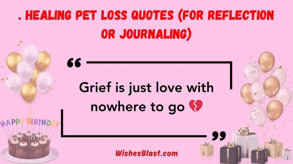 . Healing Pet Loss Quotes (for reflection or journaling)