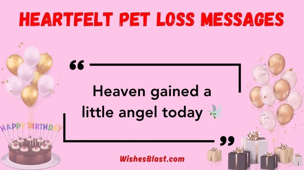 Heartfelt Pet Loss Messages