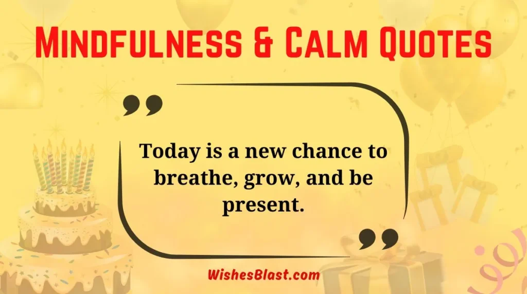 Mindfulness & Calm Quotes