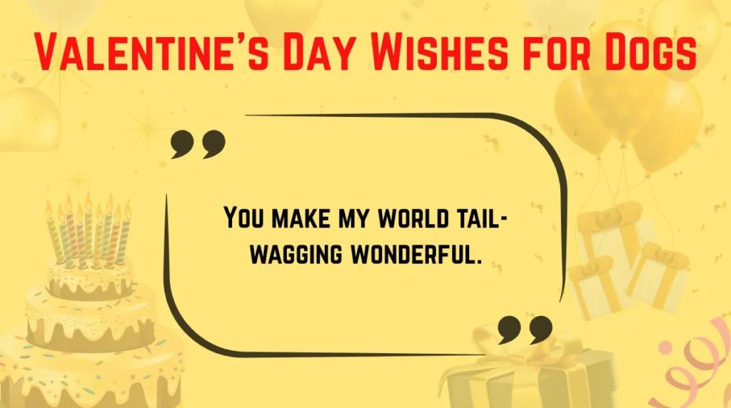 Valentine’s Day Wishes for Dogs
